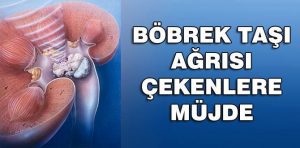 Böbrek Taşına Karşı Bitkisel Kür